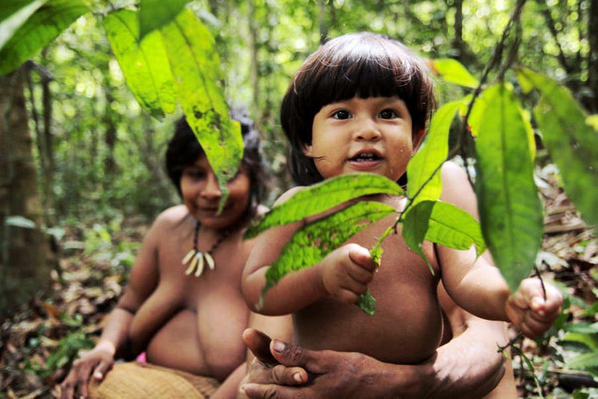 Imagen de la campaña de la asociación Survival Internacional para la superviviencia de la tribu amazónica awá. Imagen de la campaña de la asociación Survival Internacional para la superviviencia de la tribu amazónica awá.