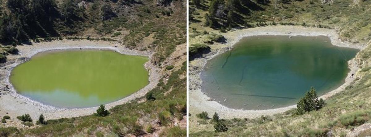 El ’estany’ o pequeño lago de Closell, en el parque natural del Alt Pirineu, antes (2013) y después (2015) del proceso de restauración ambiental.