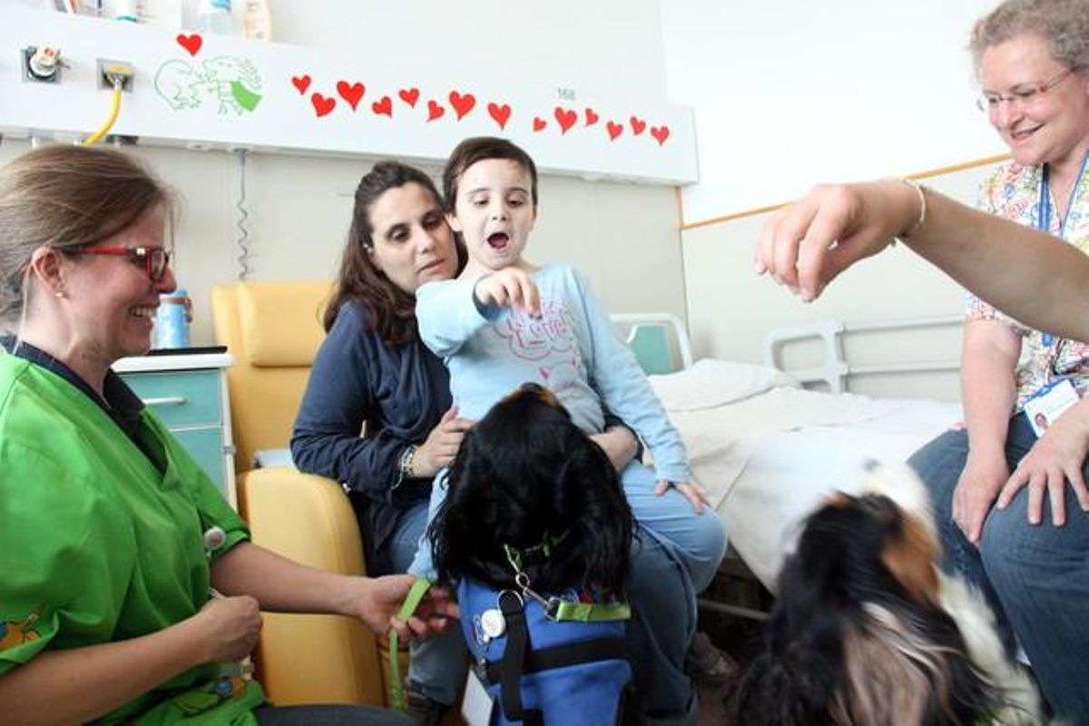La Clàudia haciendo bailar la Bamba y la Pipa, dos de los perros de la Unidad funcional de intervenciones asistidas del Hospital Sant Joan de Déu La Clàudia haciendo bailar la Bamba y la Pipa, dos de los perros de la Unidad funcional de intervenciones asistidas del Hospital Sant Joan de Déu