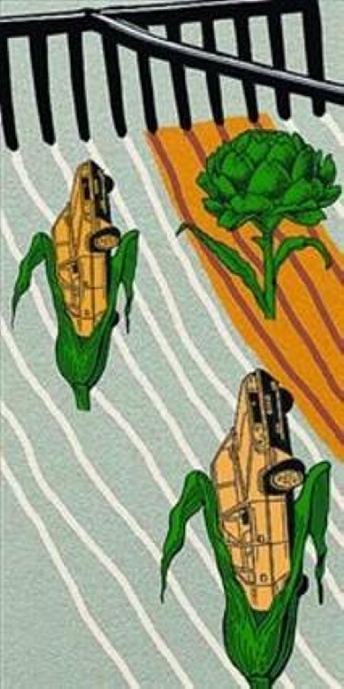 Agrocarburantes: cómo y dónde Agrocarburantes: cómo y dónde