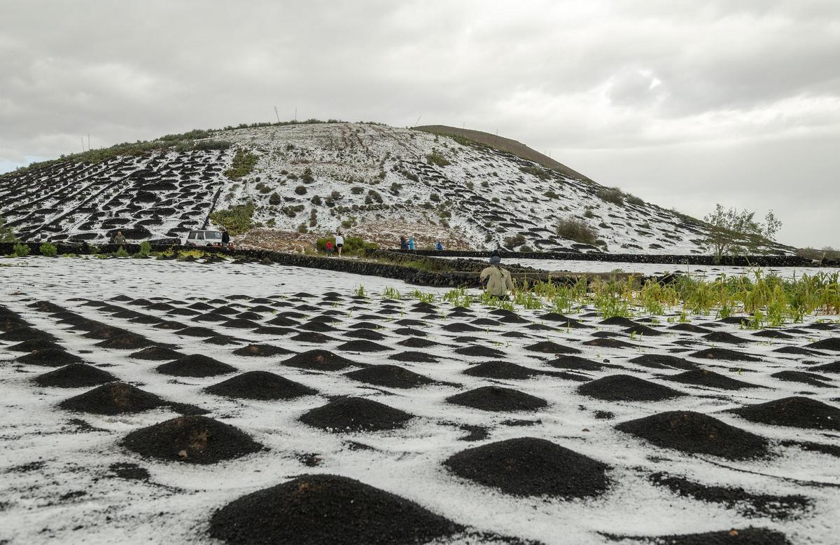 En la imagen, una loma cubierta de granizo en el pueblo de Masdache, en el municipio de Tías. EFE/ Adriel Perdomo En la imagen, una loma cubierta de granizo en el pueblo de Masdache, en el municipio de Tías. EFE/ Adriel Perdomo