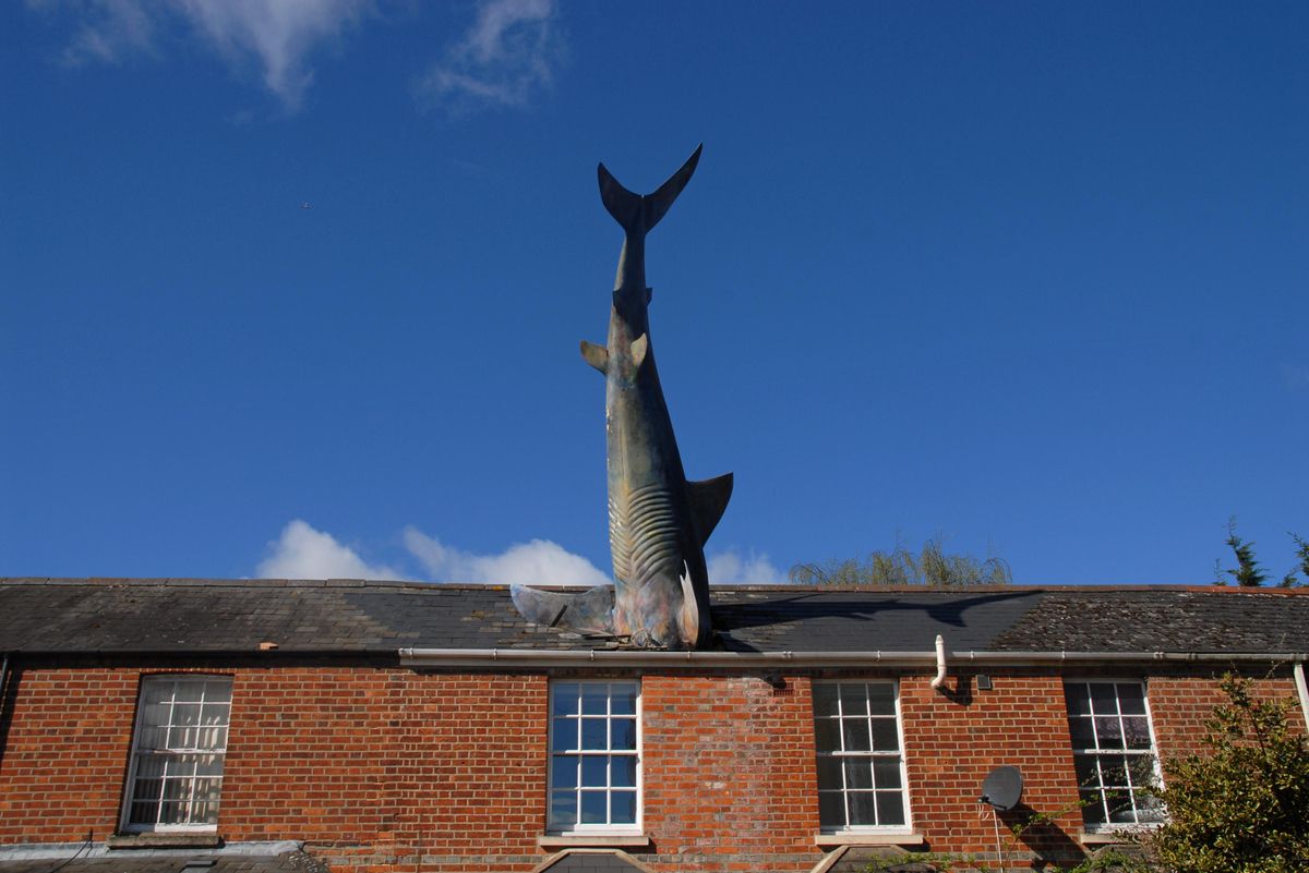 Tiburón de Headington, de John Buckley. Tiburón de Headington, de John Buckley.