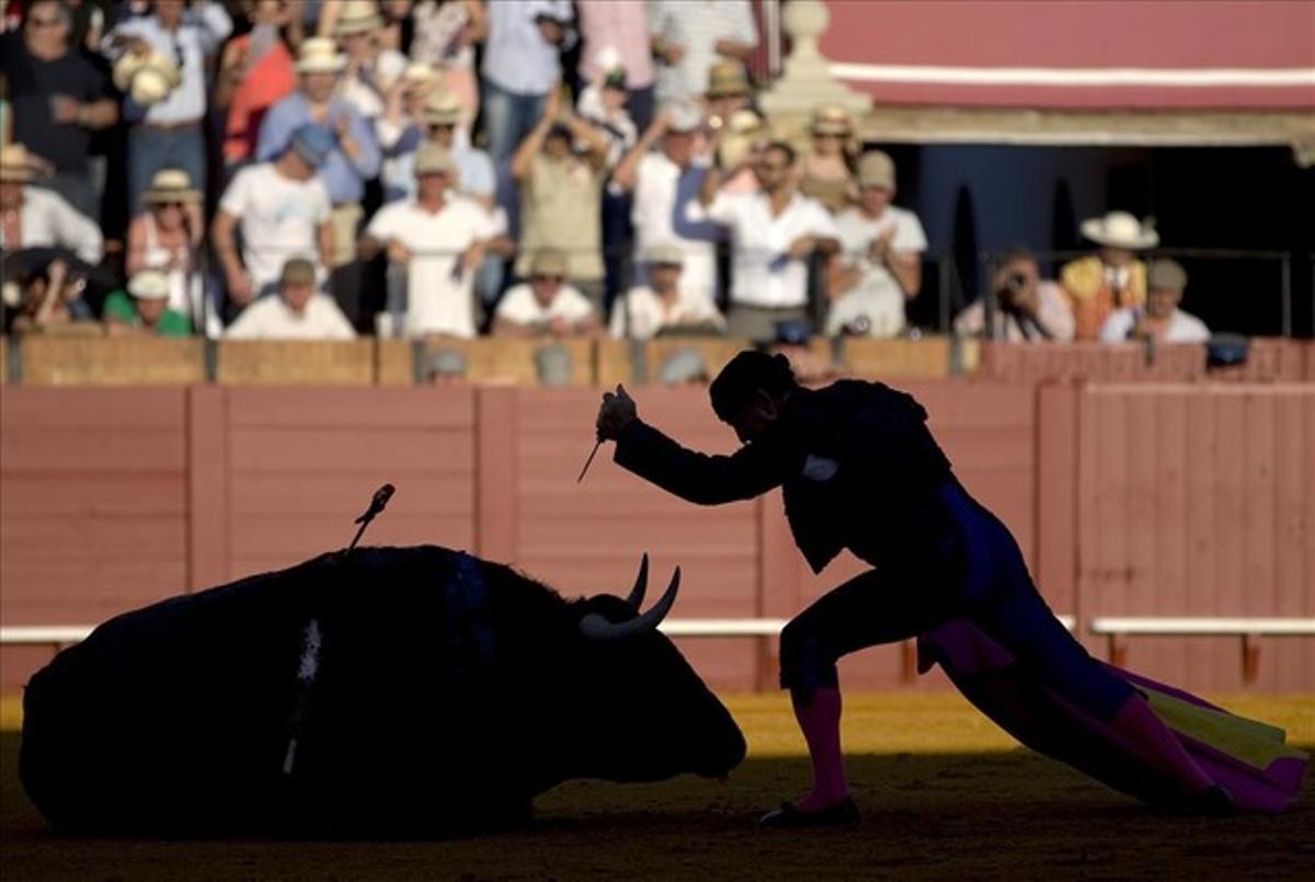 "Es deplorable que en este siglo se siga autorizando el maltrato de