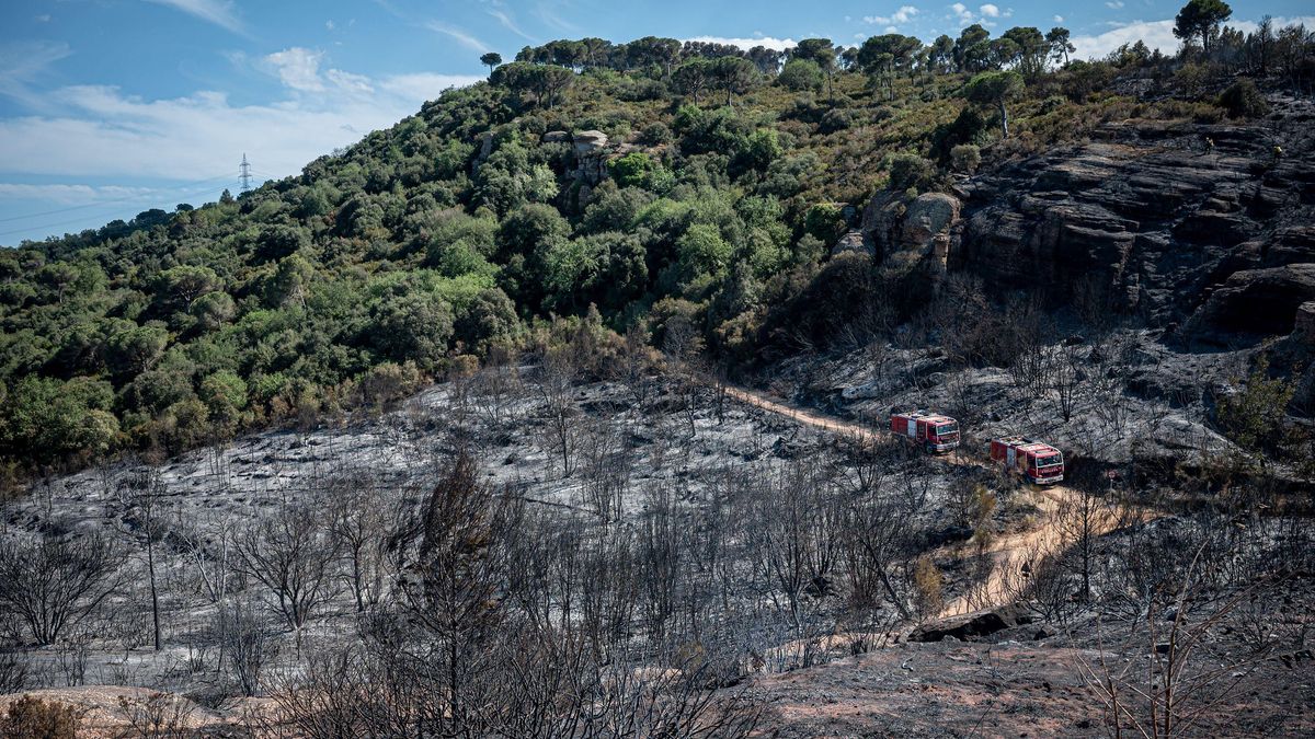 Incendio forestal de Martorell y Castellví. Con la actuación de hidroaviones, helicopteros, agentes forestales, bomberos y mossos d’esquadra. Estado del incendio: controlado. Con algunos puntos calientes todavía. AUTOR: MANU MITRU. Incendio forestal de Martorell y Castellví. Con la actuación de hidroaviones, helicopteros, agentes forestales, bomberos y mossos d’esquadra. Estado del incendio: controlado. Con algunos puntos calientes todavía. AUTOR: MANU MITRU.