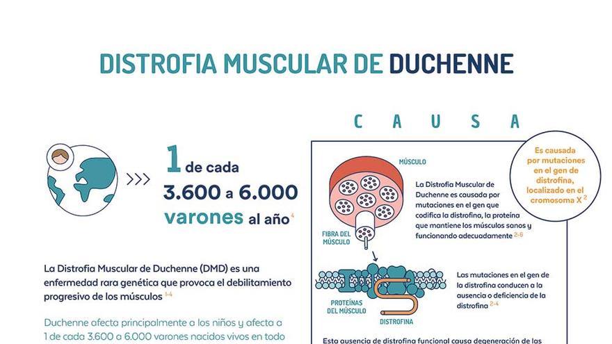 Día Del Síndrome De Duchenne La Distrofia Muscular Que Casi Nunca Afecta A Las Mujeres 7741