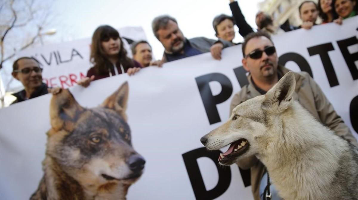 La manifestación en defensa del lobo, en Madrid. La manifestación en defensa del lobo, en Madrid.