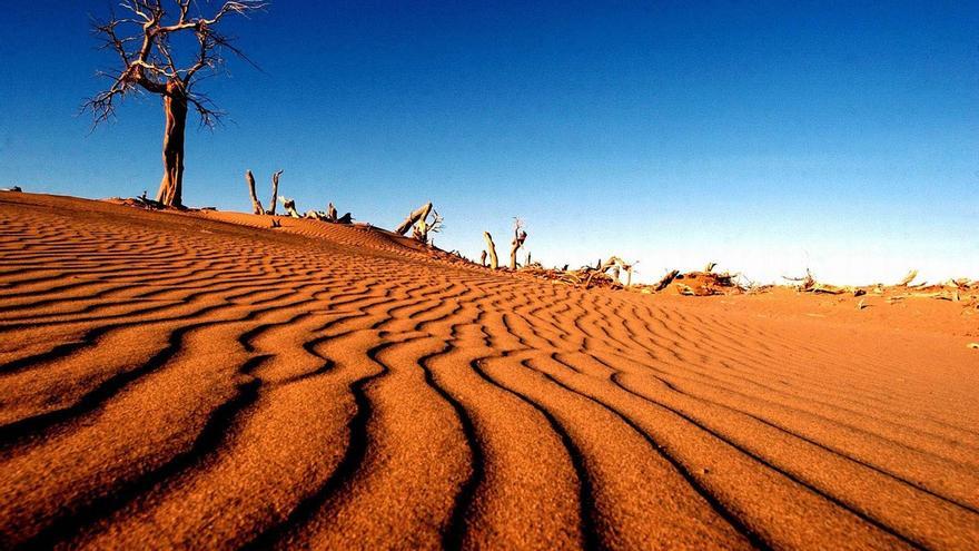 Madrid era una sabana casi desértica hace 14 millones de años