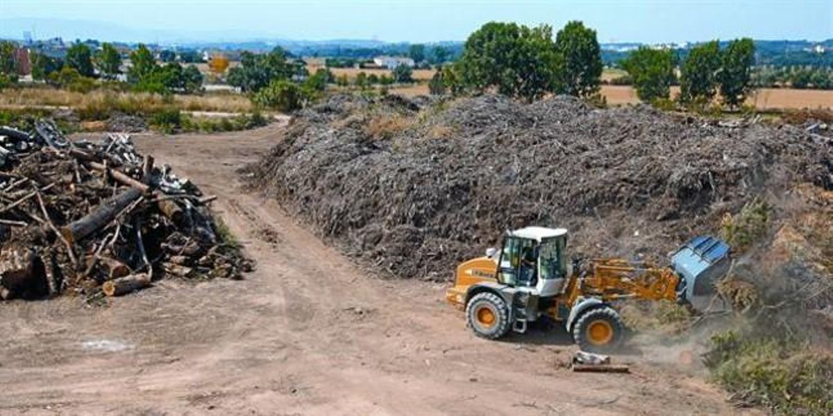 Acumulaciones de madera en los terrenos donde está prevista la construcción de la nueva central de biomasa de La Garriga, la semana pasada. Acumulaciones de madera en los terrenos donde está prevista la construcción de la nueva central de biomasa de La Garriga, la semana pasada.