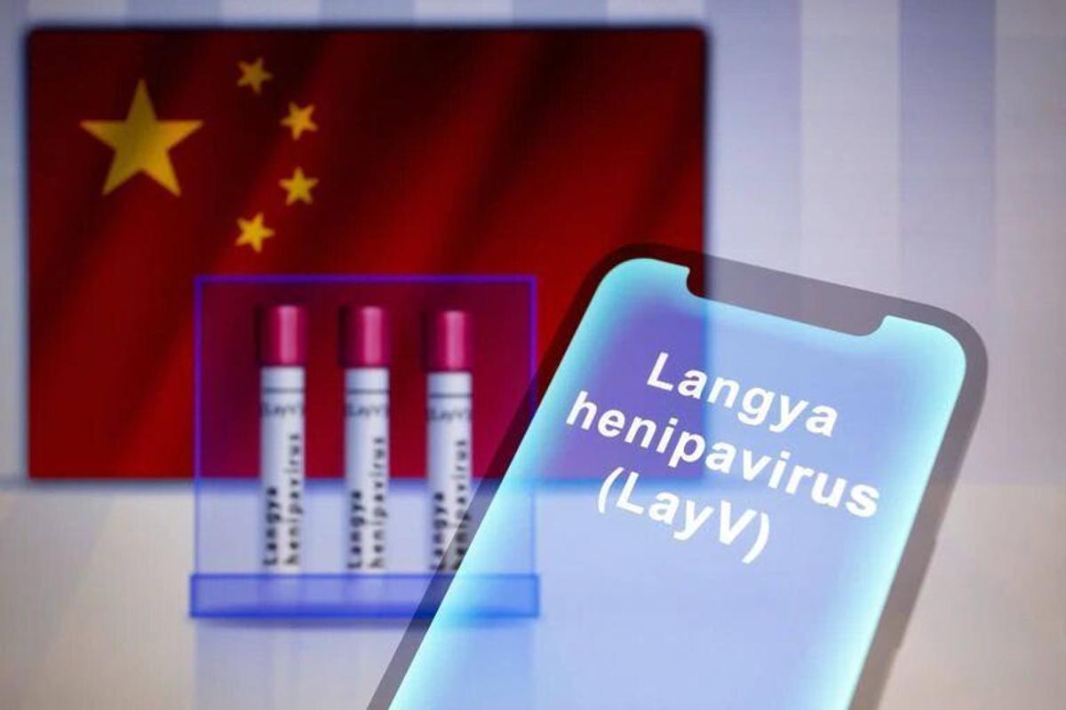 ¿Debemos preocuparnos por el nuevo brote de Henipavirus Langya? ¿Hemos entrado en la era de las pandemias?