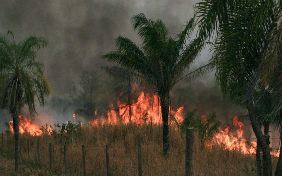 Incendios forestales en Bolivia han dañado 1,8 millones de hectáreas