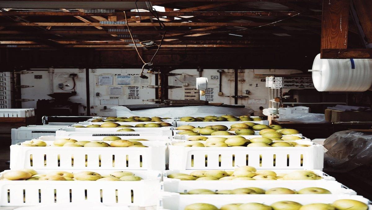 Impuls a la producció ecològica Impuls a la producció ecològica