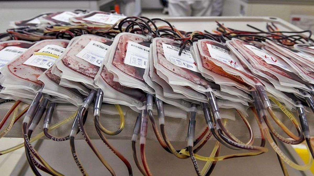 Sanidad aclara que las vacunas del covid son compatibles para donar sangre Sanidad aclara que las vacunas del covid son compatibles para donar sangre