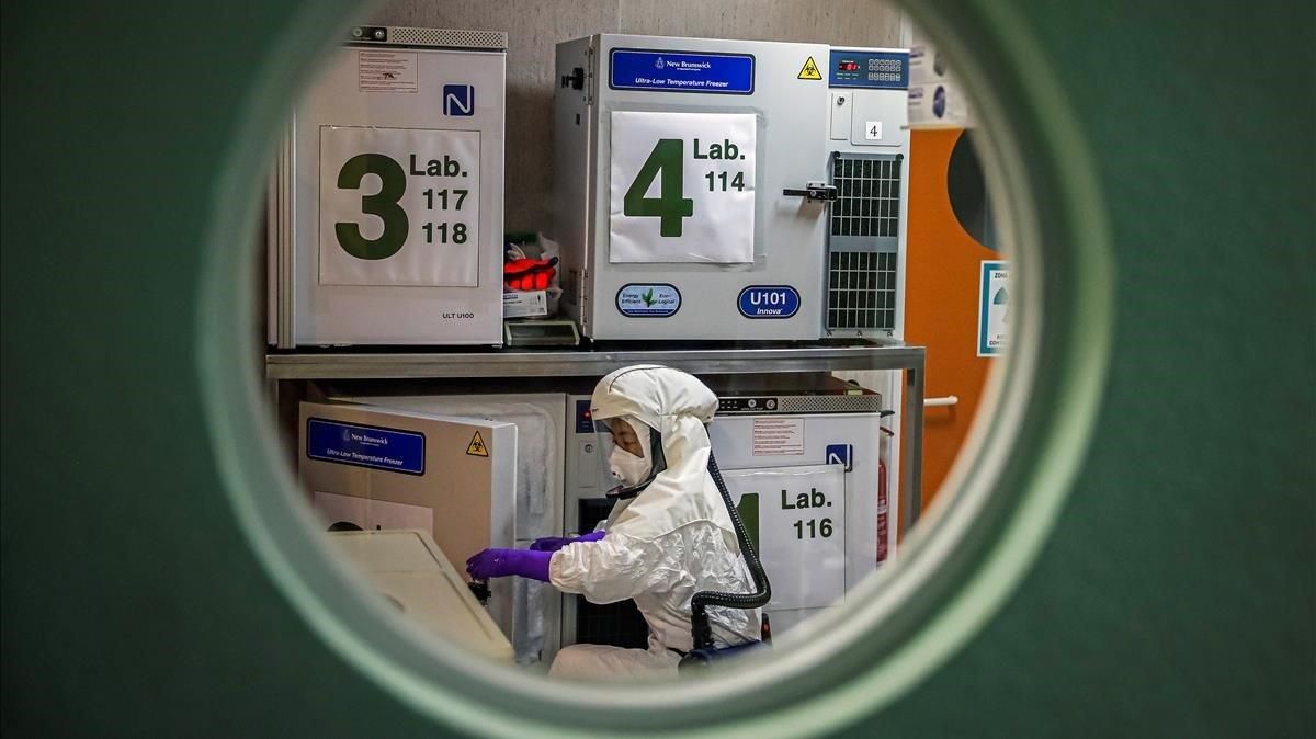 Laboratorio del Centro Nacional de Biotecnología, donde se busca una vacuna contra el covid-19, el 31 de enero. Laboratorio del Centro Nacional de Biotecnología, donde se busca una vacuna contra el covid-19, el 31 de enero.