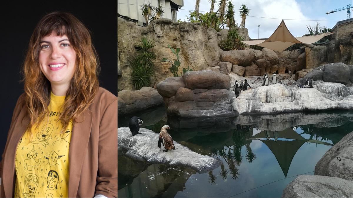 Laura Fernandez uses the Barcelona Zoo as her office
