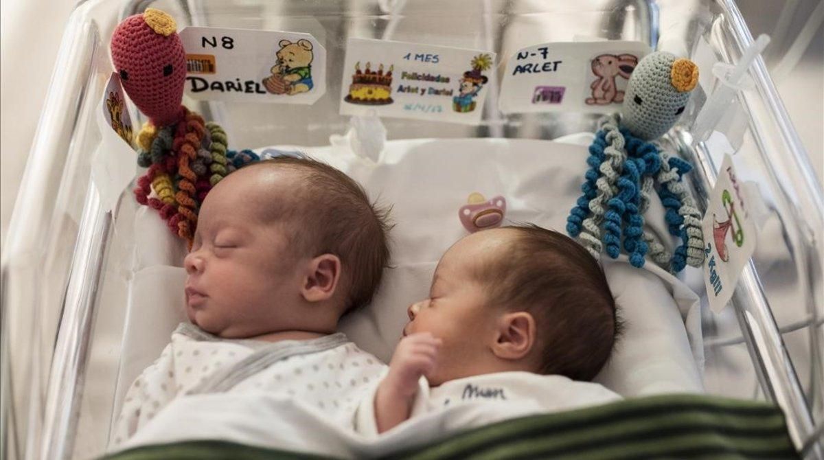 Dos bebés prematuros, en 2017 en un hospital de Barcelona, donde permanecen en una cuna con pulpitos de ganchillo. Dos bebés prematuros, en 2017 en un hospital de Barcelona, donde permanecen en una cuna con pulpitos de ganchillo.