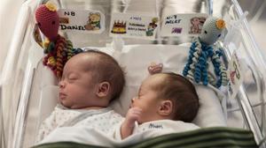 Dos bebés prematuros, en 2017 en un hospital de Barcelona, donde permanecen en una cuna con pulpitos de ganchillo. 