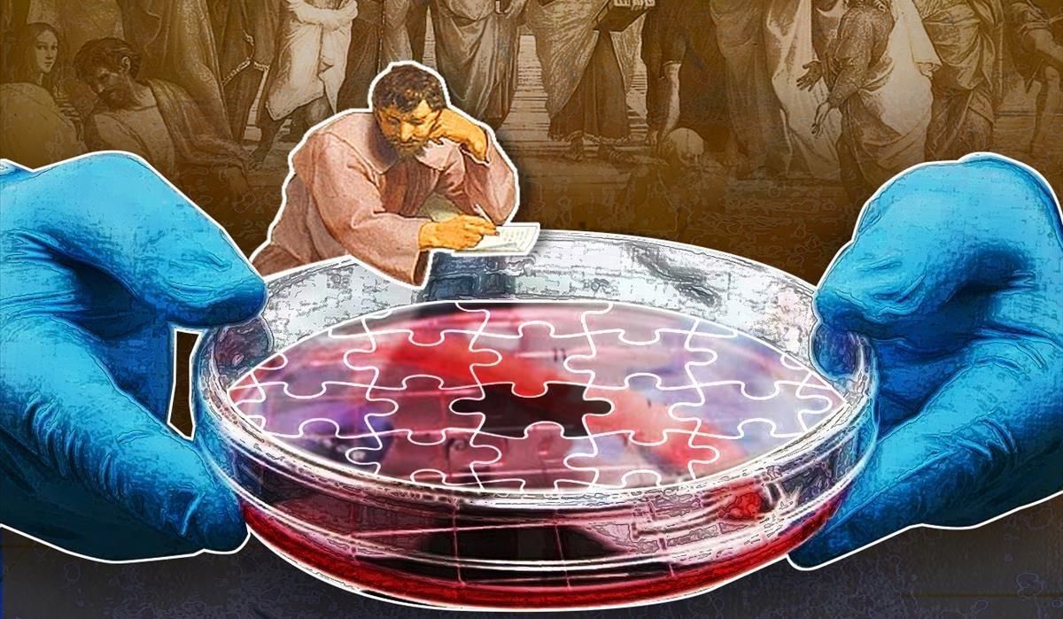 La conciencia en un plato La conciencia en un plato