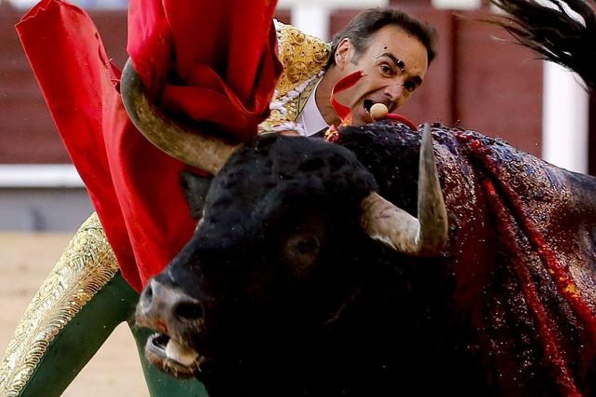 El torero Manuel Jesús ’El Cid’, en la plaza de Las Ventas, el pasado 22 de mayo. El torero Manuel Jesús ’El Cid’, en la plaza de Las Ventas, el pasado 22 de mayo.