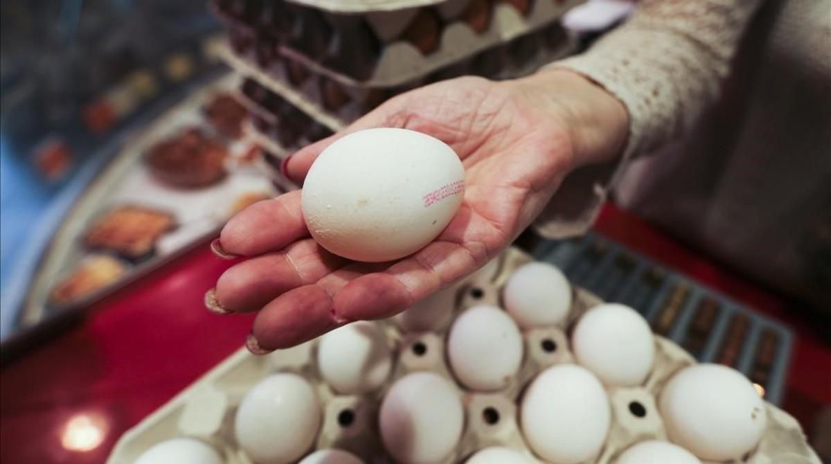 Huevos en una huevería de Barcelona. Huevos en una huevería de Barcelona.