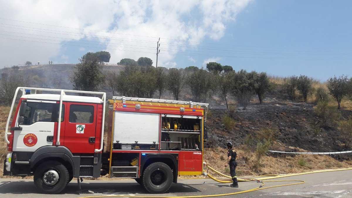 Los bomberos trabajan en la extinción del fuego de Collserola.