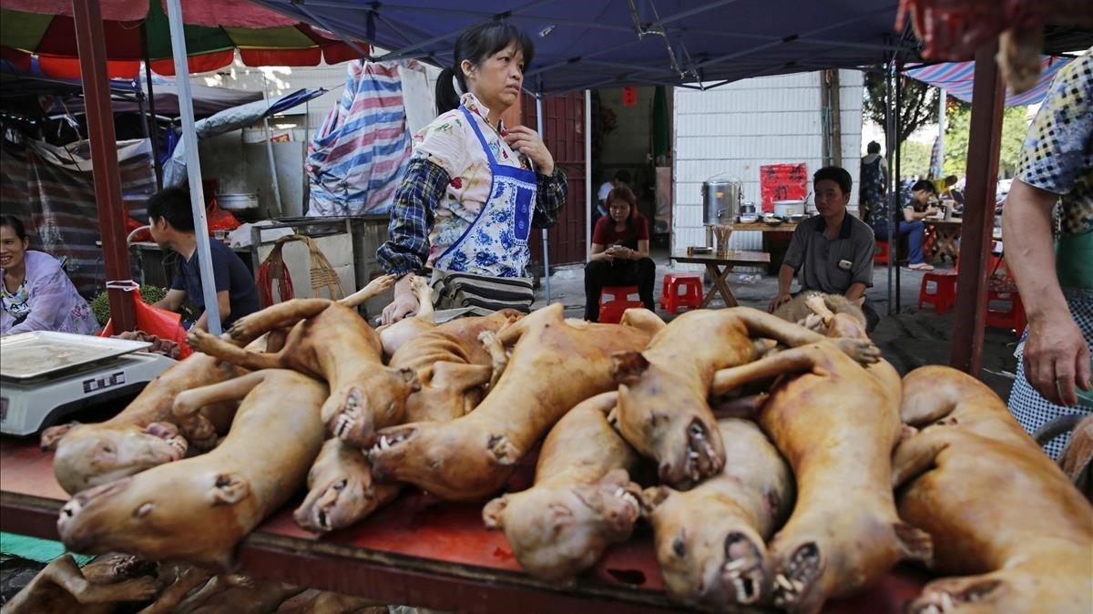 Carne de perro para ser vendida en un mercado de la ciudad de Yulin (China)
