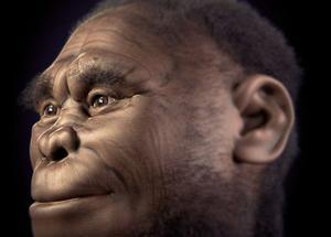 El antepasado humano Homo floresiensis podría estar vivo en Indonesia