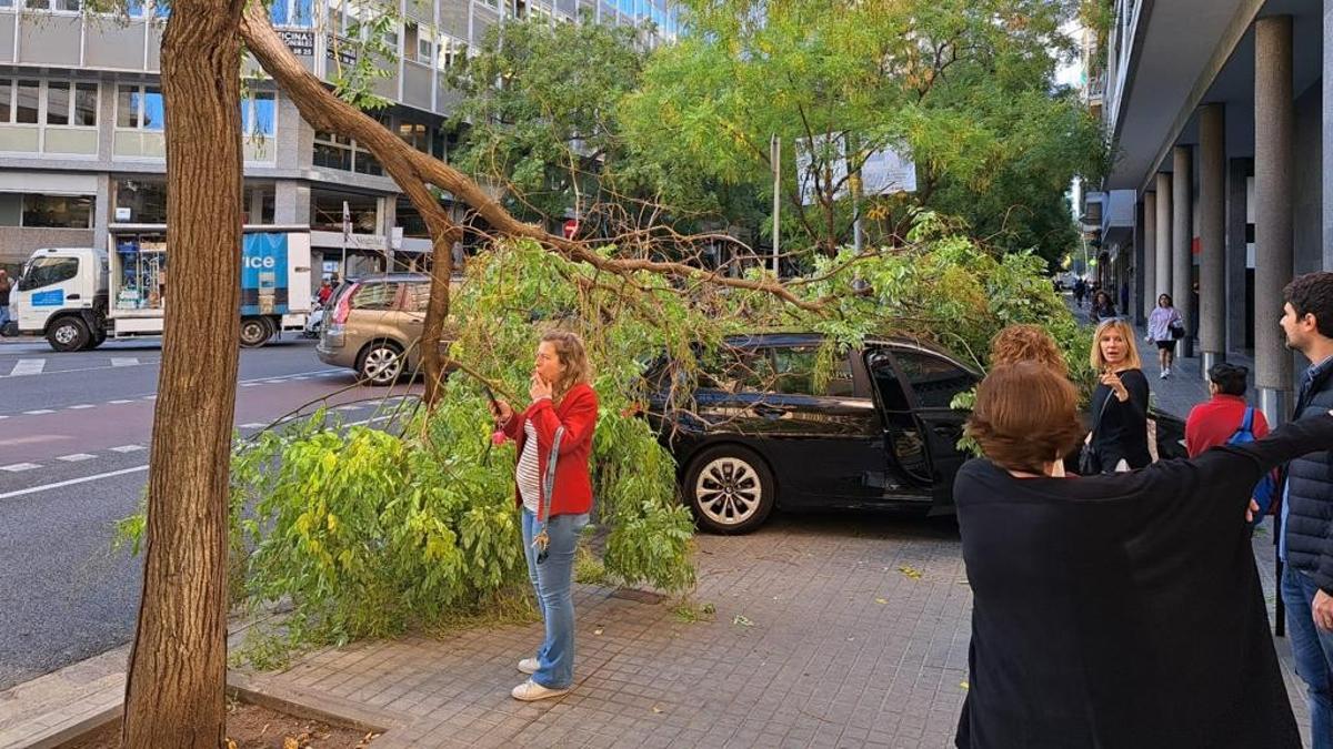 Árbol caído sobre un coche en la calle de Bori i Fontestà, en Barcelona