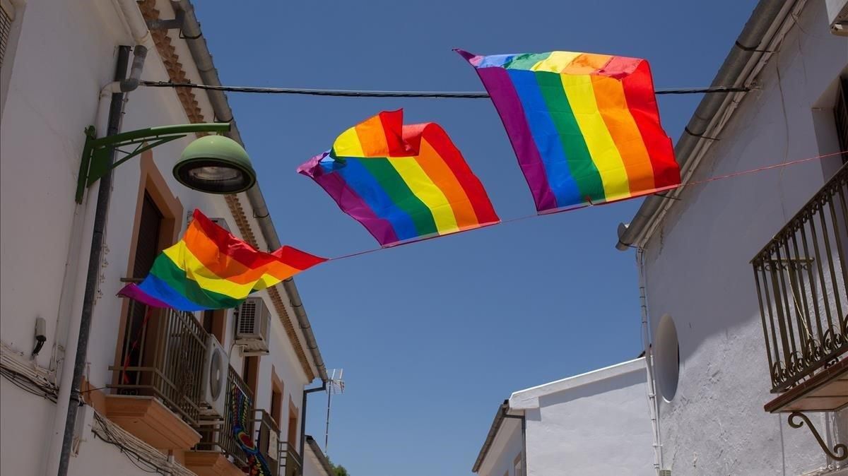 Banderolas multicolor colocadas por los vecinos en Villanueva de Algaidas (Málaga), donde el Ayuntamiento ha retirado la enseña LGTBI que venía luciendo desde hace tres años por el día del Orgullo. Banderolas multicolor colocadas por los vecinos en Villanueva de Algaidas (Málaga), donde el Ayuntamiento ha retirado la enseña LGTBI que venía luciendo desde hace tres años por el día del Orgullo.