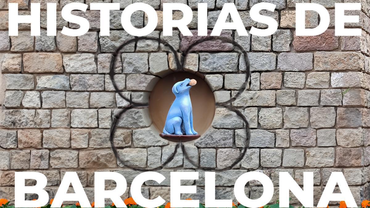 El perro azul que vive junto a la Catedral de Barcelona