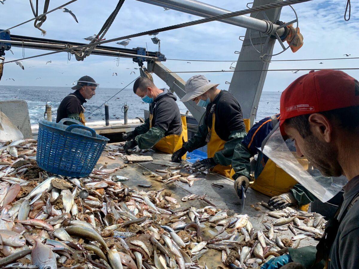 La UE acorda una rebaixa del 6% en els dies de pesca al Mediterrani el 2022