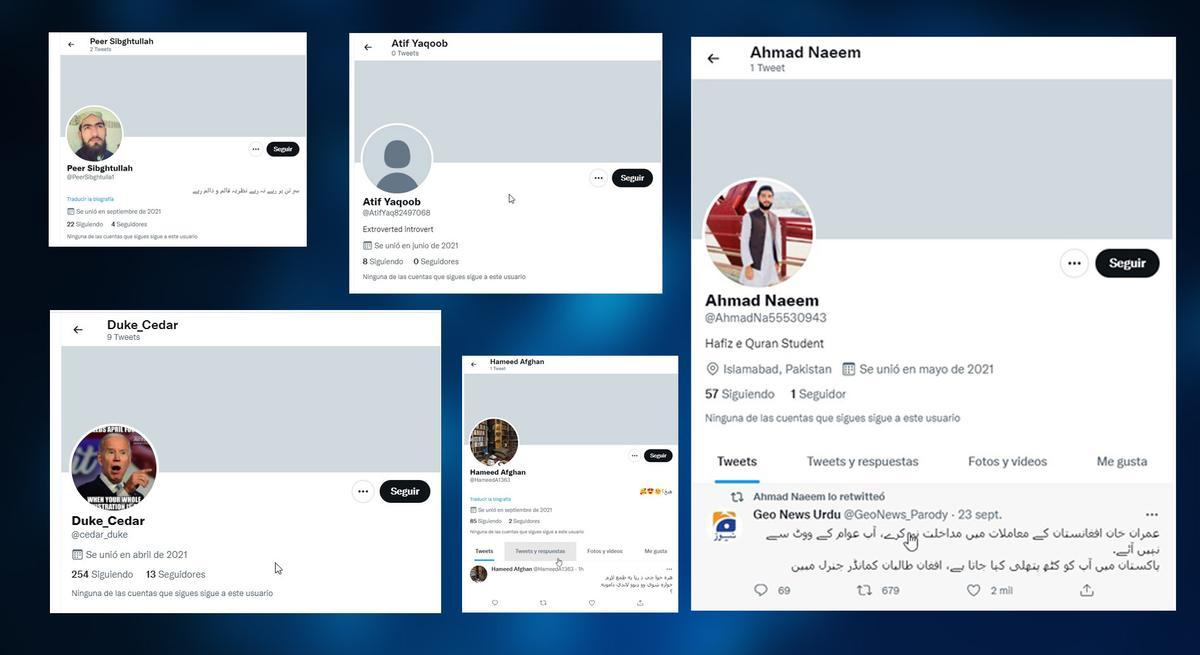 Cinco perfiles escogidos al azar de entre los más de 300.000 seguidores en Twitter del portavoz talibán Zabihullah Mujahid. Como la mayoría en su cajón, apenas tienen seguidores, apenas tuitean y no llevan mucho tiempo en la red.
