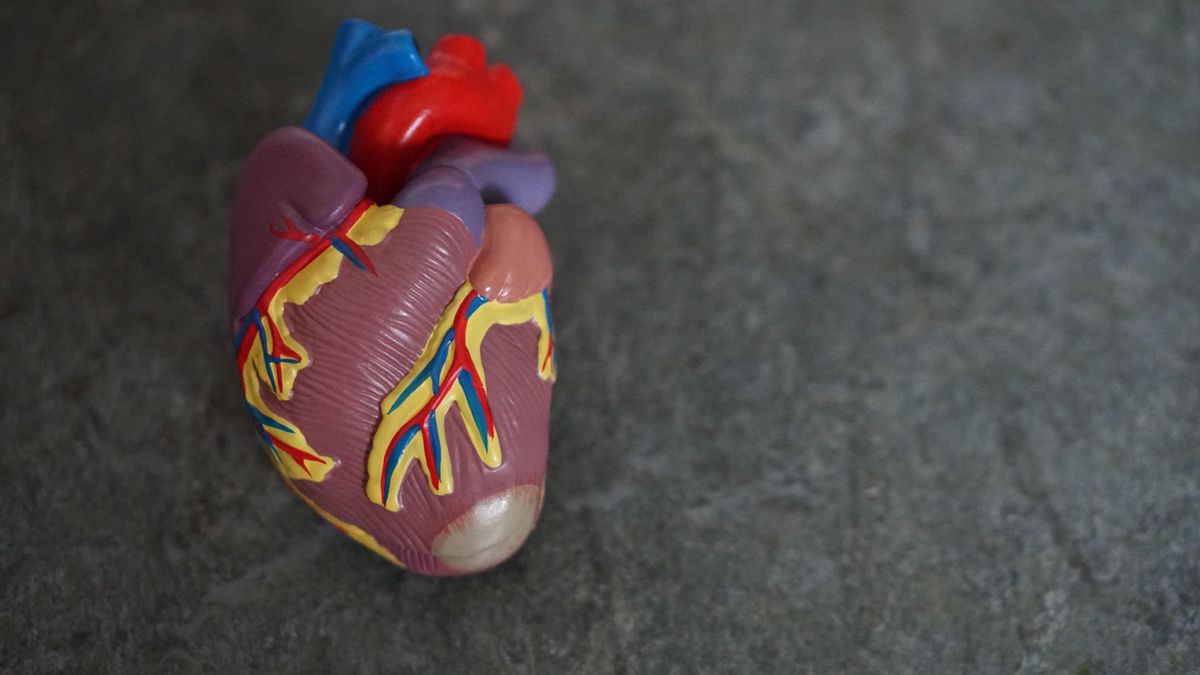 Un corazón de plástico Un corazón de plástico