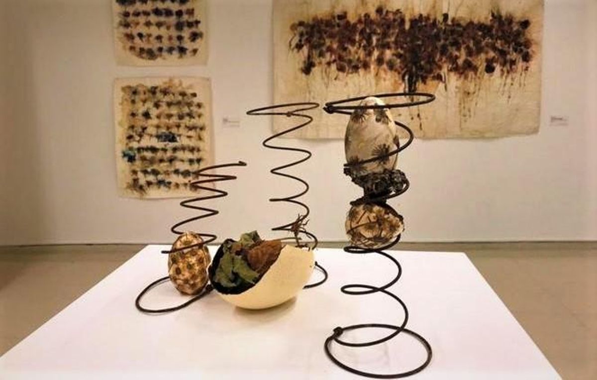 El Centre Cultural El Carme de Badalona acull una exposició sorgida entre la botànica i l’art El Centre Cultural El Carme de Badalona acull una exposició sorgida entre la botànica i l’art