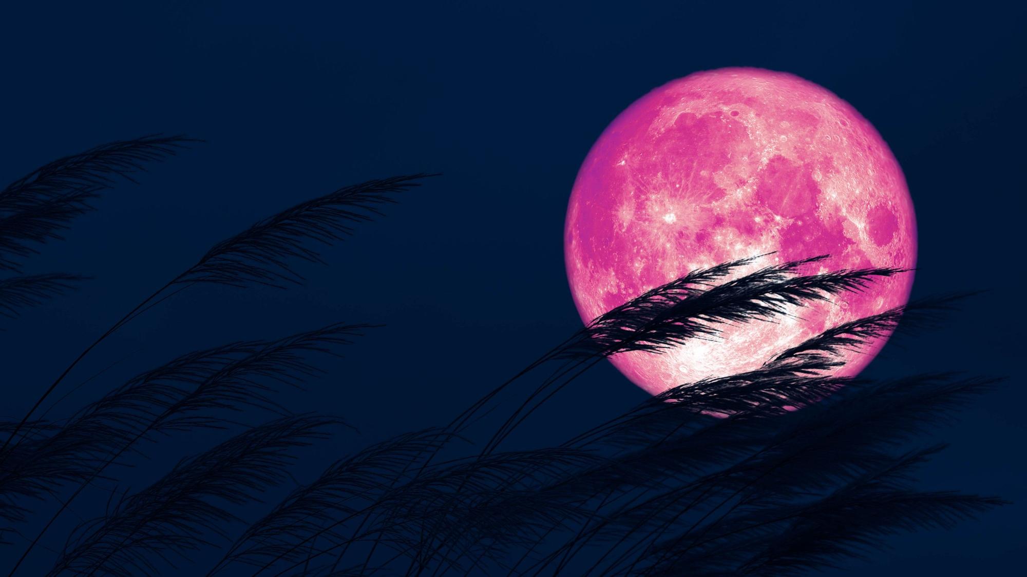 LUNA LLENA ABRIL 2023 |  ¿Cuándo es la próxima luna llena?  Cómo y dónde ver la luna rosa o luna de Pascua