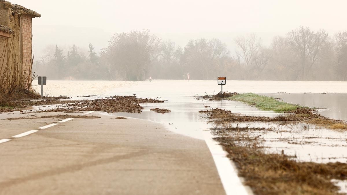 Carretera cortada en Gallur (Zaragoza) tras la crecida del Ebro.