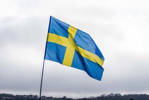 El Parlamento de Suecia vota a favor de ingresar en la OTAN