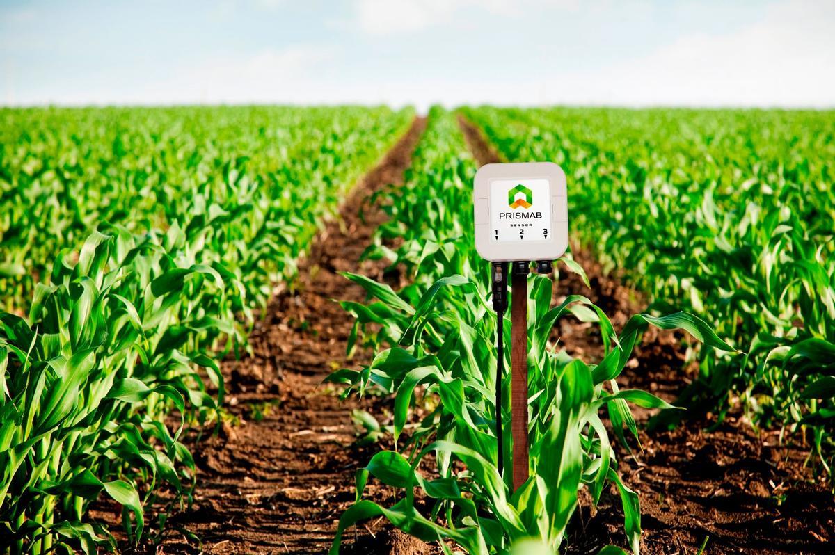 Punta de flecha Produce Alta exposición Así es la startup que hace a la agricultura más sostenible