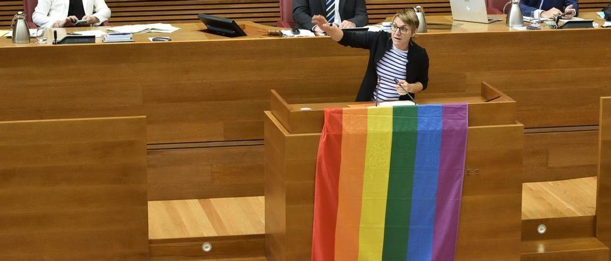 Vox exige retirar la bandera LGTBI de las Cortes valencianas y Compromís se la planta en la tribuna