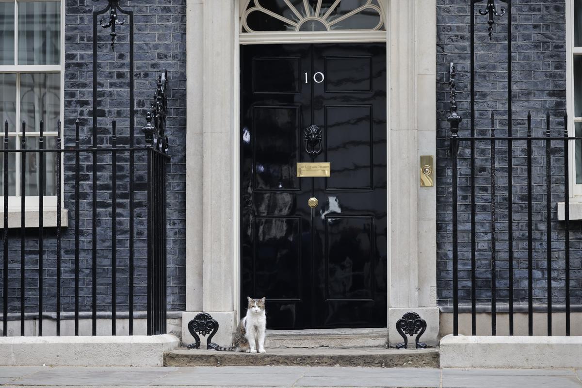 Larry the cat: el gato ratonero de Downing Street que triunfa en las redes