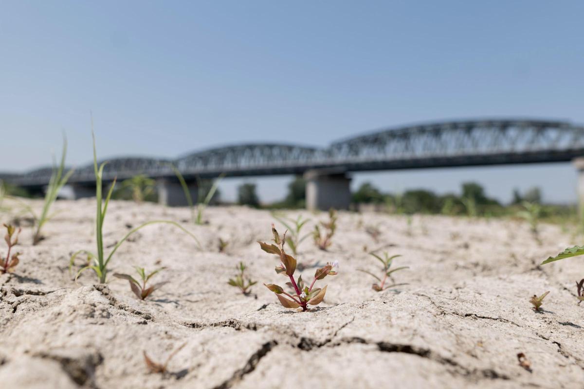 El programa europeu Copernicus alerta de «canvis alarmants» en el clima El programa europeu Copernicus alerta de «canvis alarmants» en el clima