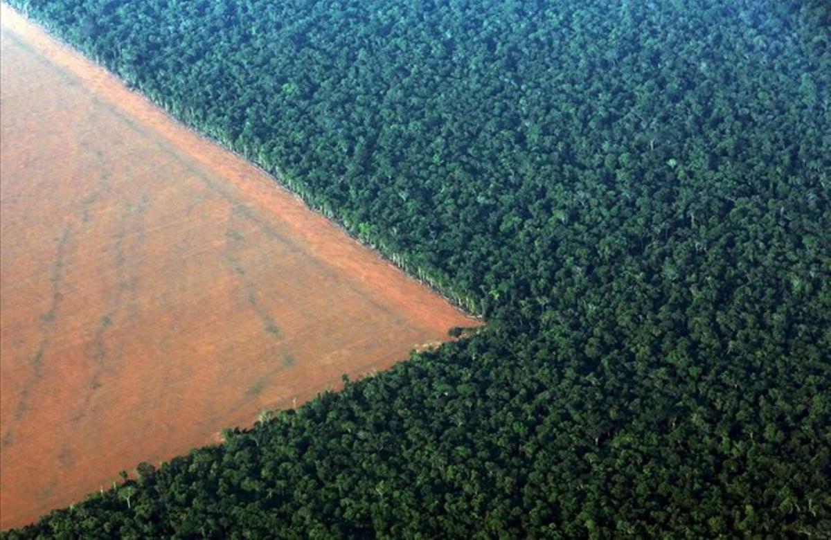 Vista de la selva amazònica desforestada convertida en un camp preparat per sembrar-hi soja, a l’estat de Mato Grosso (Brasil).
