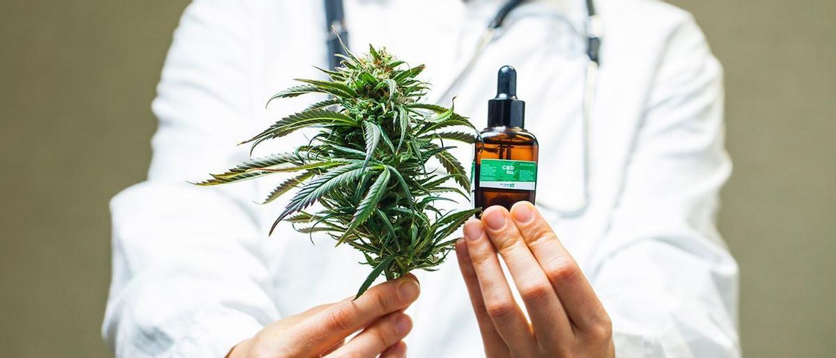 Con receta médica y distribuido en farmacias: así se venderá el cannabis medicinal en España