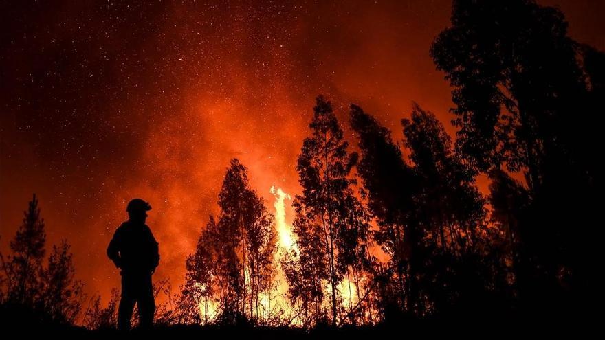 Incendio en Portugal acaba con más de 20.000 hectáreas
