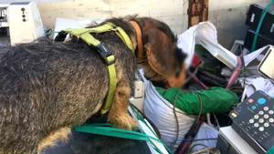 Rescatados en Melilla tres menores dentro de sacos de chatarra electrónica.