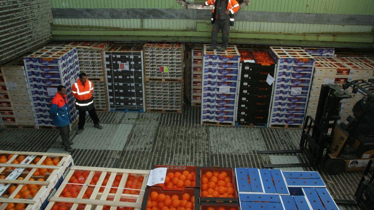 Bruselas hace oficial el control a las naranjas de Sudáfrica: el tratamiento en frío entrará en vigor el día 24