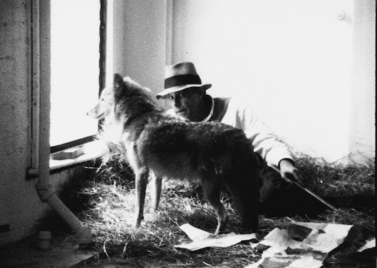 Joseph Beuys y el coyote salvaje, en la galería René Block de Nueva York. 