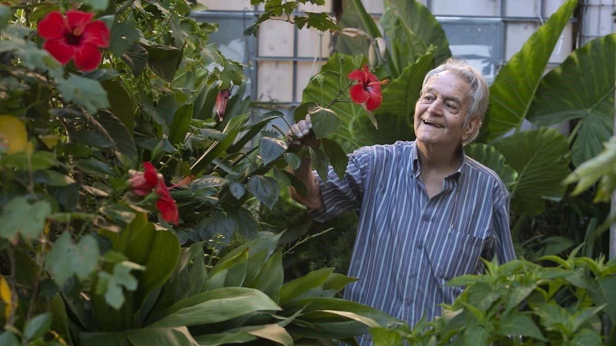 Joan Carulla, en el selvático jardín de su casa. Joan Carulla, en el selvático jardín de su casa.