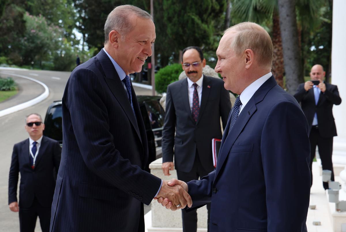 Putin recibe a Erdogan en el balneario ruso de Sochi, a orillas del mar Negro.