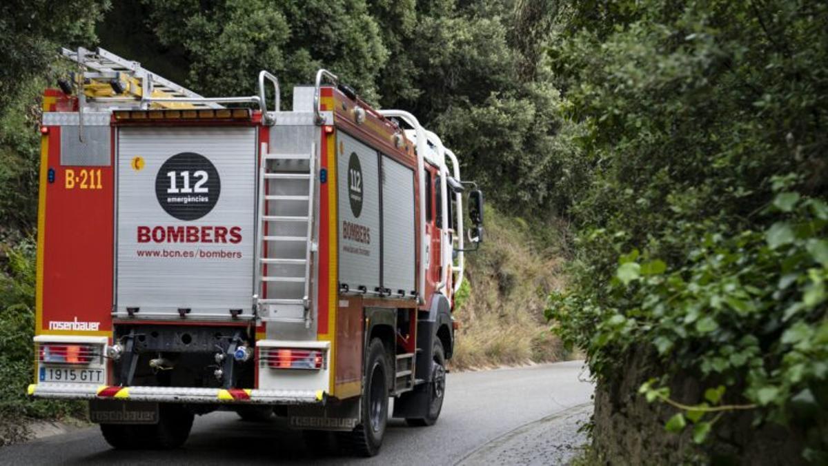 Activada la precampanya forestal Activada la precampanya forestal