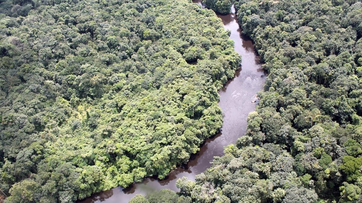 Vista aérea de un paraje de la selva amazónica. Vista aérea de un paraje de la selva amazónica.